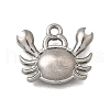 Ocean Series 304 Stainless Steel Charms STAS-H477-01B-P-1