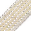 Natural Cultured Freshwater Pearl Beads Strands PEAR-A005-03A-01-1