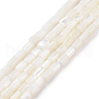 Natural Trochus Shell Beads Strands SSHEL-H070-01G-1