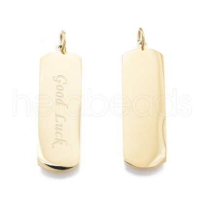 Ion Plating(IP) 304 Stainless Steel Pendants STAS-T060-23G-1