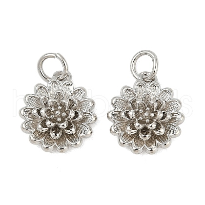 Brass Charms KK-S527-12P-1