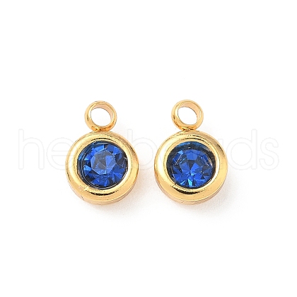 304 Stainless Steel Charms STAS-Z115-01G-13-1