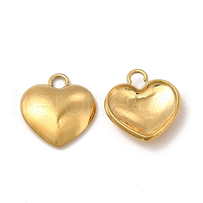 Ion Plating(IP) 304 Stainless Steel Charms STAS-A070-30G-1