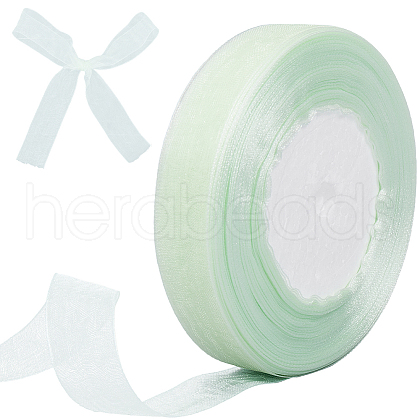 Polyester Organza Ribbons SRIB-WH20020-006C-1