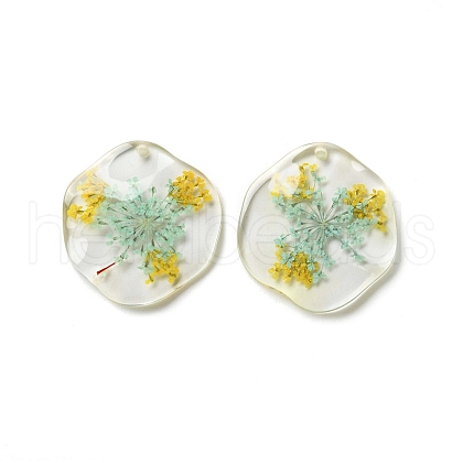 Inner Dried Flower Transparent Resin Pendants RESI-A043-04C-1