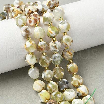 Natural Fire Crackle Agate Beads Strands G-U023-A16-02-1