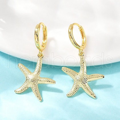 Brass Hoop Earrings EJEW-Q036-03C-G-1