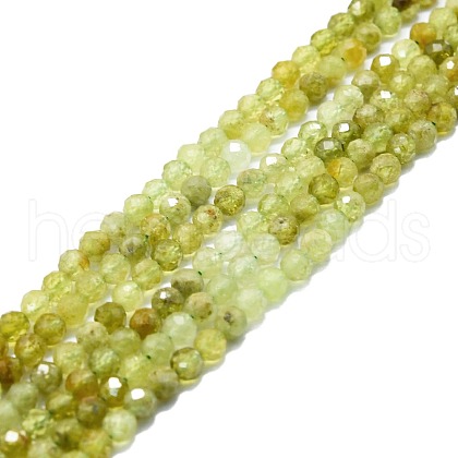 Natural Green Garnet Beads Strands G-P457-A04-25-1