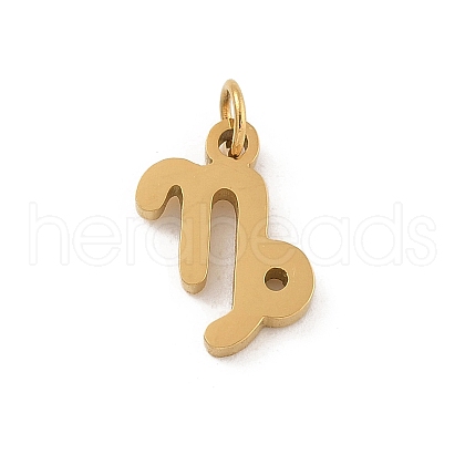 304 Stainless Steel Charms STAS-R001-04G-10-1