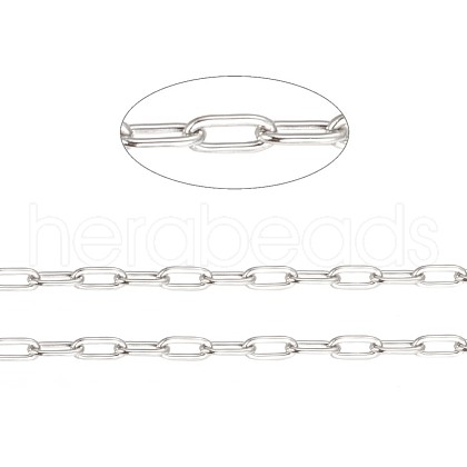 Tarnish Resistant 304 Stainless Steel Paperclip Chains CHS-F010-01A-P-1