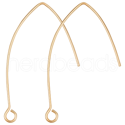 Beebeecraft 50Pcs Brass Earring Hooks KK-BBC0004-39-1