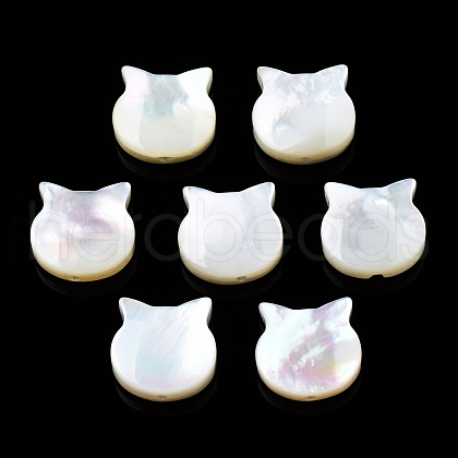 Natural White Shell Beads SSHEL-N034-124B-1