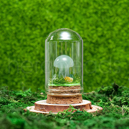 Glass Dome Cover with Natural Green Aventurine Mushroom Inside BOHO-PW0001-085K-1