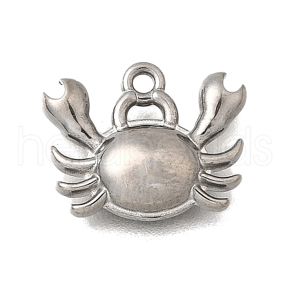 Ocean Series 304 Stainless Steel Charms STAS-H477-01B-P-1