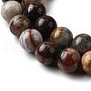Natural Mexico Crazy Agate Beads Strands G-L615-A01-02-7