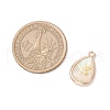 Natural Paua Shell Teardrop Pendants PALLOY-JF03762-02-2