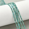 Natural HuBei Turquoise Beads Strands G-G271-G05-1x1.5mm-1