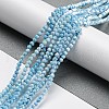 Opaque Baking Painted Glass Beads Strands DGLA-F002-01E-2