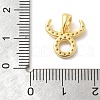 925 Sterling Sliver Micro Pave Clear Cubic Zirconia Pendants STER-Z012-06G-05-3