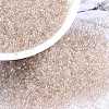 MIYUKI Round Rocailles Beads X-SEED-G009-RR3641-1
