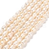 Natural Cultured Freshwater Pearl Beads Strands PEAR-E016-072-1