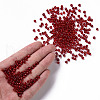 6/0 Glass Seed Beads SEED-A005-4mm-25B-4