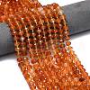 Natural Carnelian Beads Strands G-P573-A53-01-1