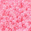 Glass Seed Beads SEED-H002-H-1309-3