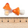 Mushroom Series Resin Display Decorations DJEW-S002-01A-3