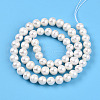 Natural Cultured Freshwater Pearl Beads Strands PEAR-N013-07Q-3