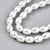 Baking Painted Pearlized Glass Pearl Bead Strands HY-T002-01A-01-2