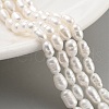 Natural Cultured Freshwater Pearl Beads Strands PEAR-P062-04C-1