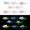 Transparent Luminous Acrylic Pendants TACR-Z002-04-1