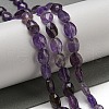 Natural Amethyst Beads Strands G-P544-D05-01-2
