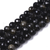 Natural Golden Sheen Obsidian Beads Strands G-N328-007-1