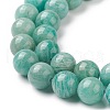 Natural Amazonite Beads Strands G-F461-12-10mm-01-3