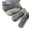 Natural Labradorite Beads Strands G-S386-D18-4