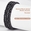Olycraft 2 Strands Natural Black Spinel Beads Strands G-OC0005-44-4