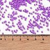 Baking Paint Glass Seed Beads X-SEED-S042-05B-72-4