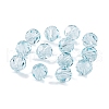 K9 Glass Imitation Austrian Crystal Beads GLAA-H024-17A-27-1