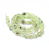 Natural Prehnite Beads Strands G-K230-20-2