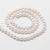 Shell Pearl Beads Strands BSHE-L025-01-6mm-2