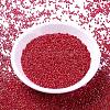 MIYUKI Delica Beads SEED-J020-DB0214-2