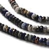 Natural Sodalite Beads Strands G-RM2025-D03-C-4