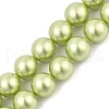 Polished Shell Pearl Round Beads Strands BSHE-XCP0001-13-1