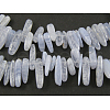 Natural Blue Lace Agate Beads Strands X-G416-A14-1