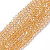 Imitation Austrian Crystal 5301 Bicone Beads GLAA-S026-3mm-14-1