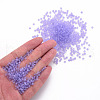 8/0 Transparent Glass Seed Beads SEED-S048-P-005-5