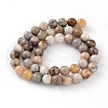 Natural Bamboo Leaf Agate Round Bead Strands G-M248-10mm-04-3