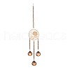 Flat Round & Rose Hanging Crystal Chandelier Pendant HJEW-M002-03-1